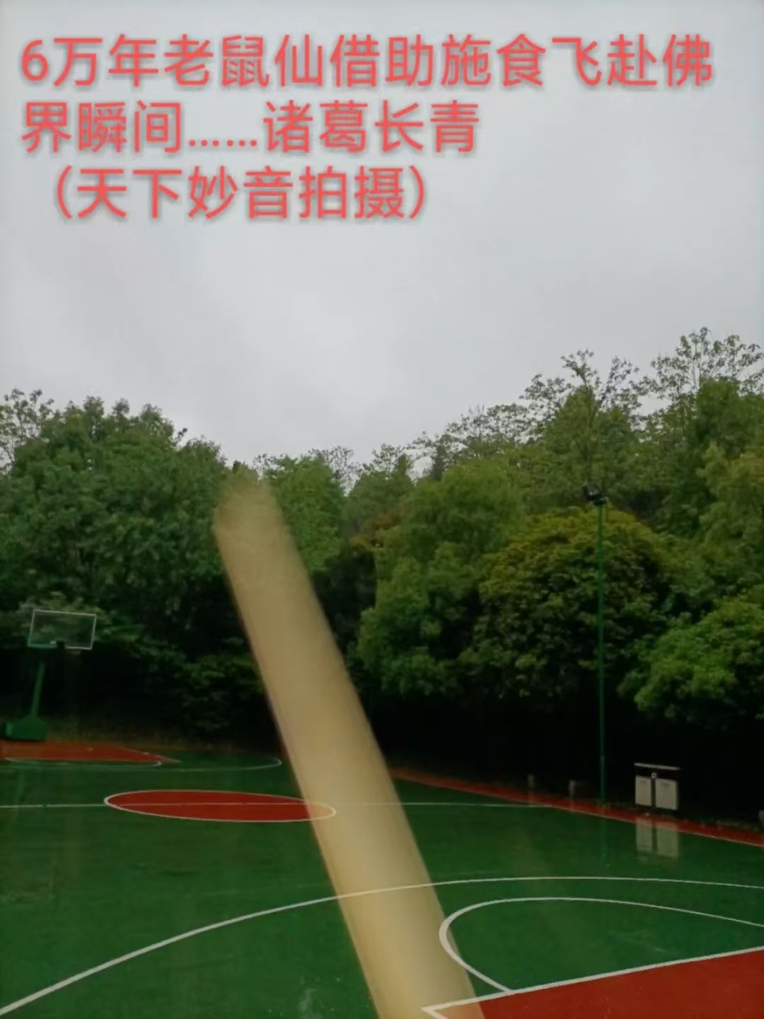 1750937539116068.png image.png