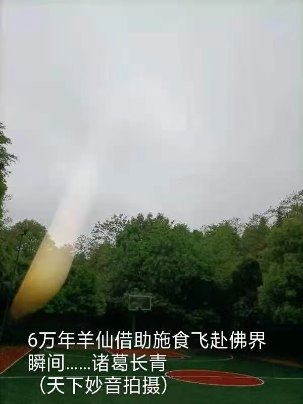 1750937568392076.png image.png
