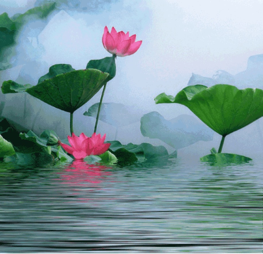 1751149759161502.png image.png