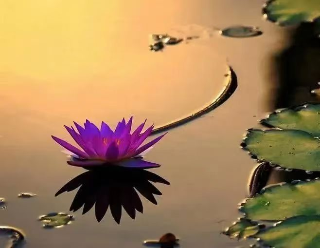 1752202089473344.png image.png