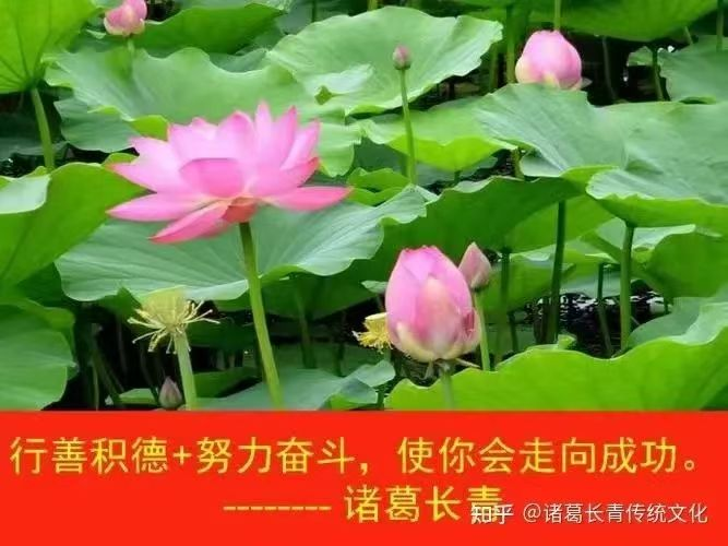 1754629517120888.png image.png