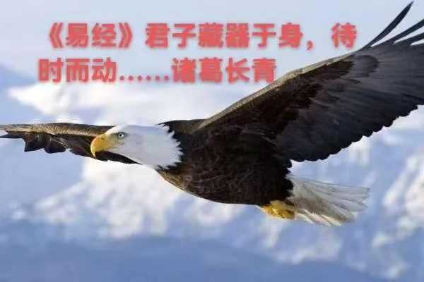 1755007956490481.png image.png