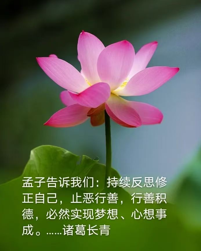 1756129990159581.png image.png