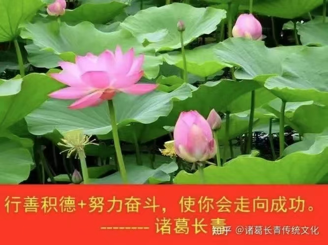1758289159159358.png image.png