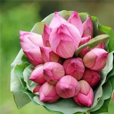 1760880591544651.png image.png