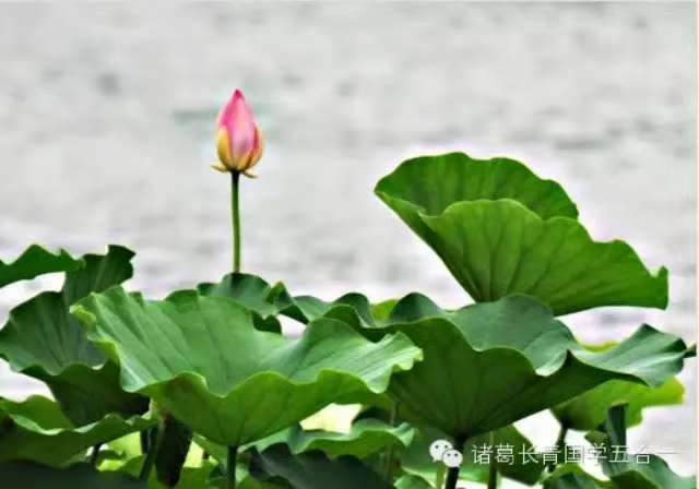 1761139278164192.png image.png