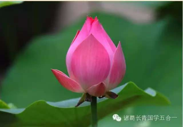 1761139359134316.png image.png