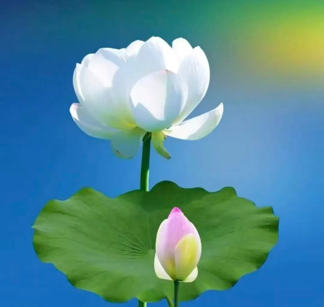 1761398201949266.png image.png