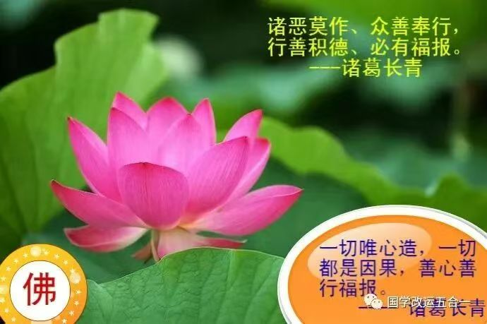 1762522241172305.png image.png