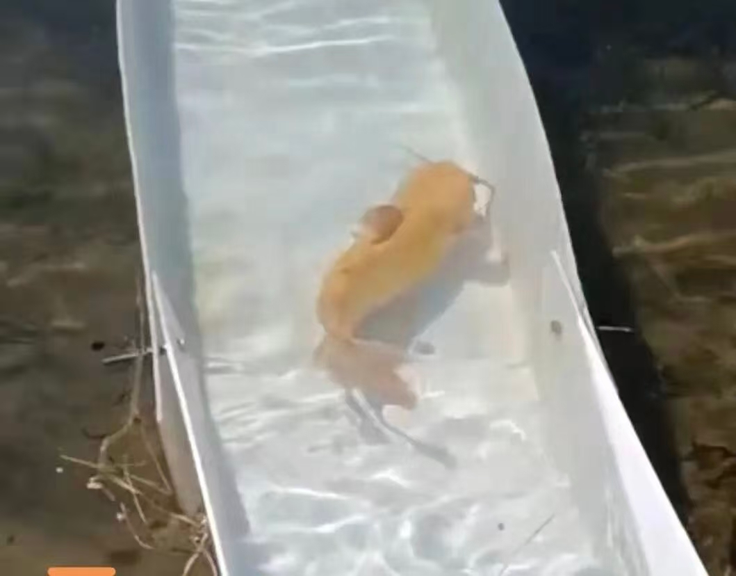 1772443464414887.png image.png