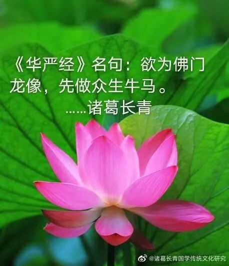 1779506735175598.png image.png
